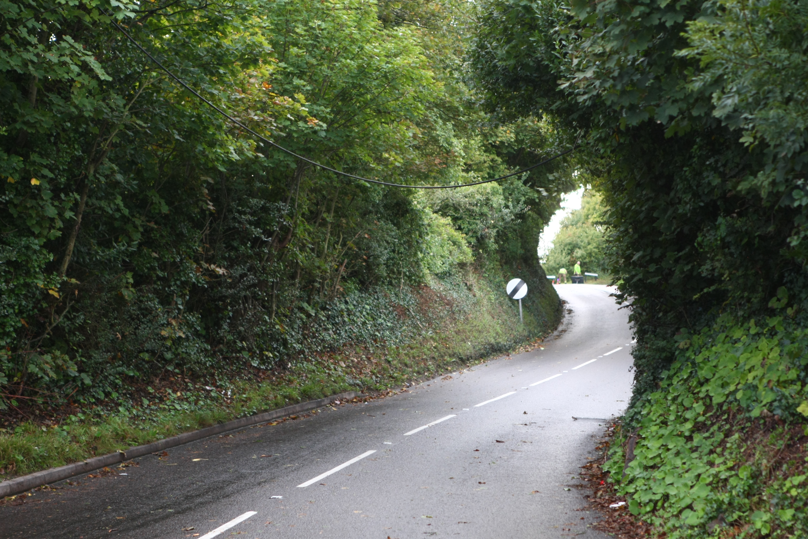 FALLEN CABLE CLOSES BRADING DOWNS