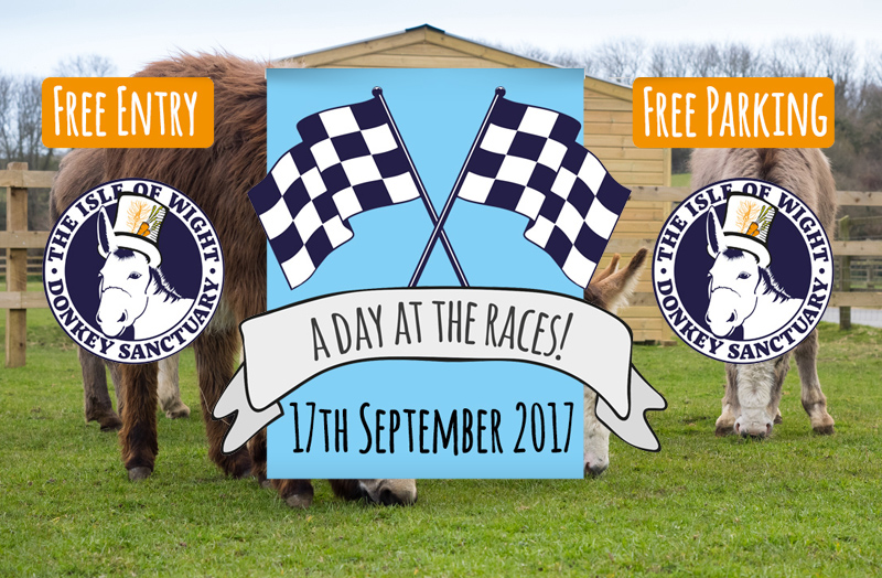 ALL INVITED TO A DAY AT THE RACES IN AID OF DONKEY SANCTUARY