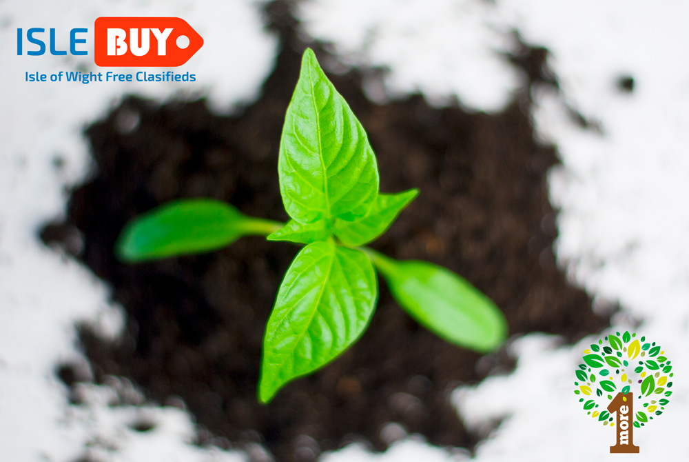ISLAND PUBLICATION HELPING BUSINESSES GO GREEN AND GROW