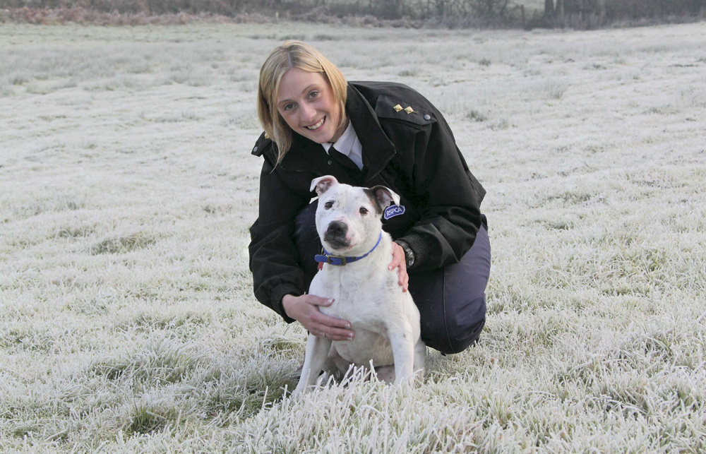 RSPCA LAUNCHES APPEAL TO HELP ANIMALS FACING NEGLECT THIS FESTIVE SEASON