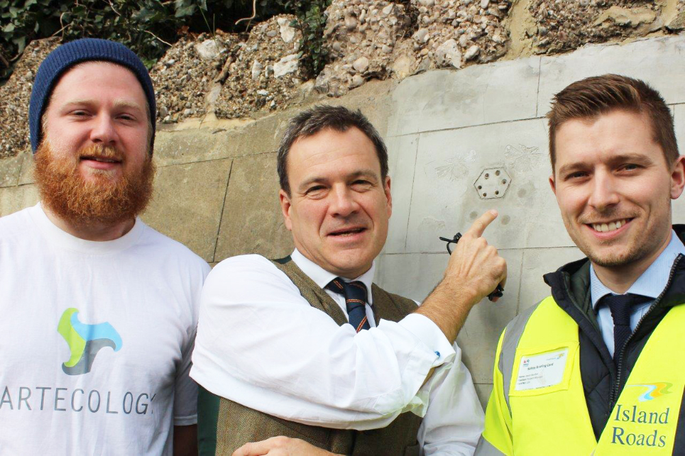 LAKE HILL DESIGNATED A BEE-ROAD IN NEW ENVIRONMENTAL PROJECT