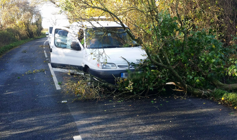 LUCKY ESCAPE FOR DRIVER AS TREE CRASHES DOWN