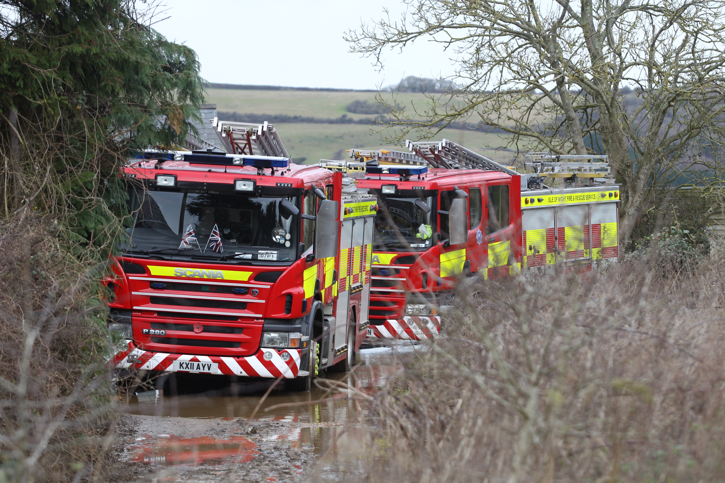 ANIMAL RESCUE IN NEWCHURCH