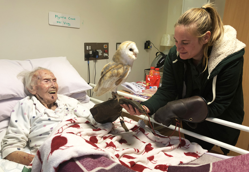 OWL CREATES A BUZZ ON HOSPICE WARD