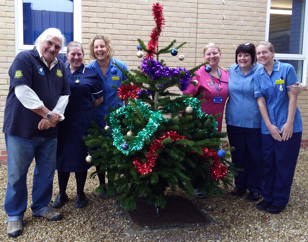 ROTARY CLUB DONATE CHRISTMAS TREES TO CHILDREN’S WARD