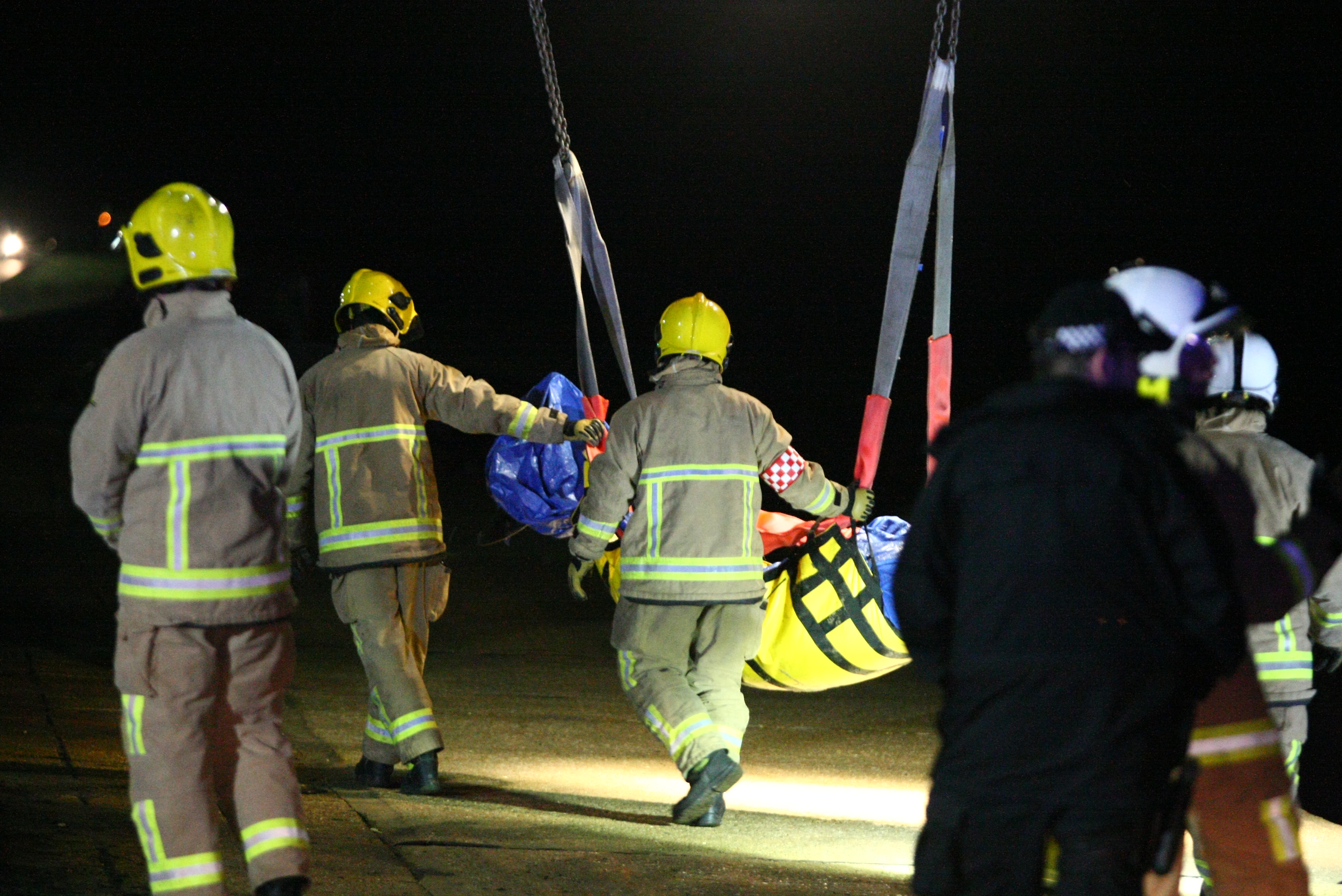 DOLPHIN LIFTED FROM BEACH AFTER BEING PUT TO SLEEP