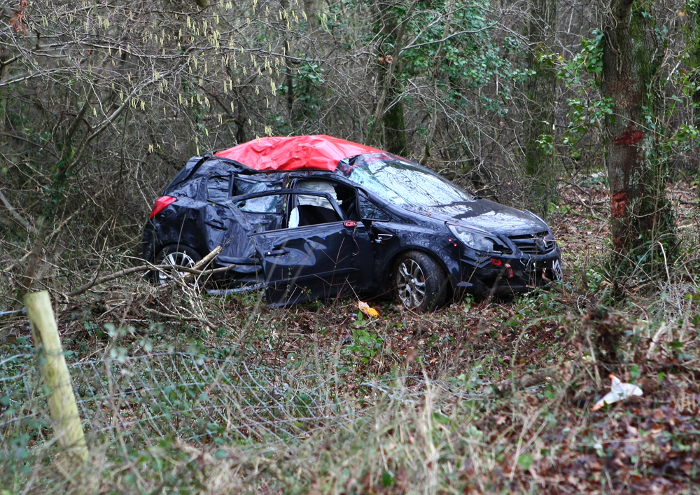 CAR LEAVES THE ROAD ON BLACKLANDS LANE