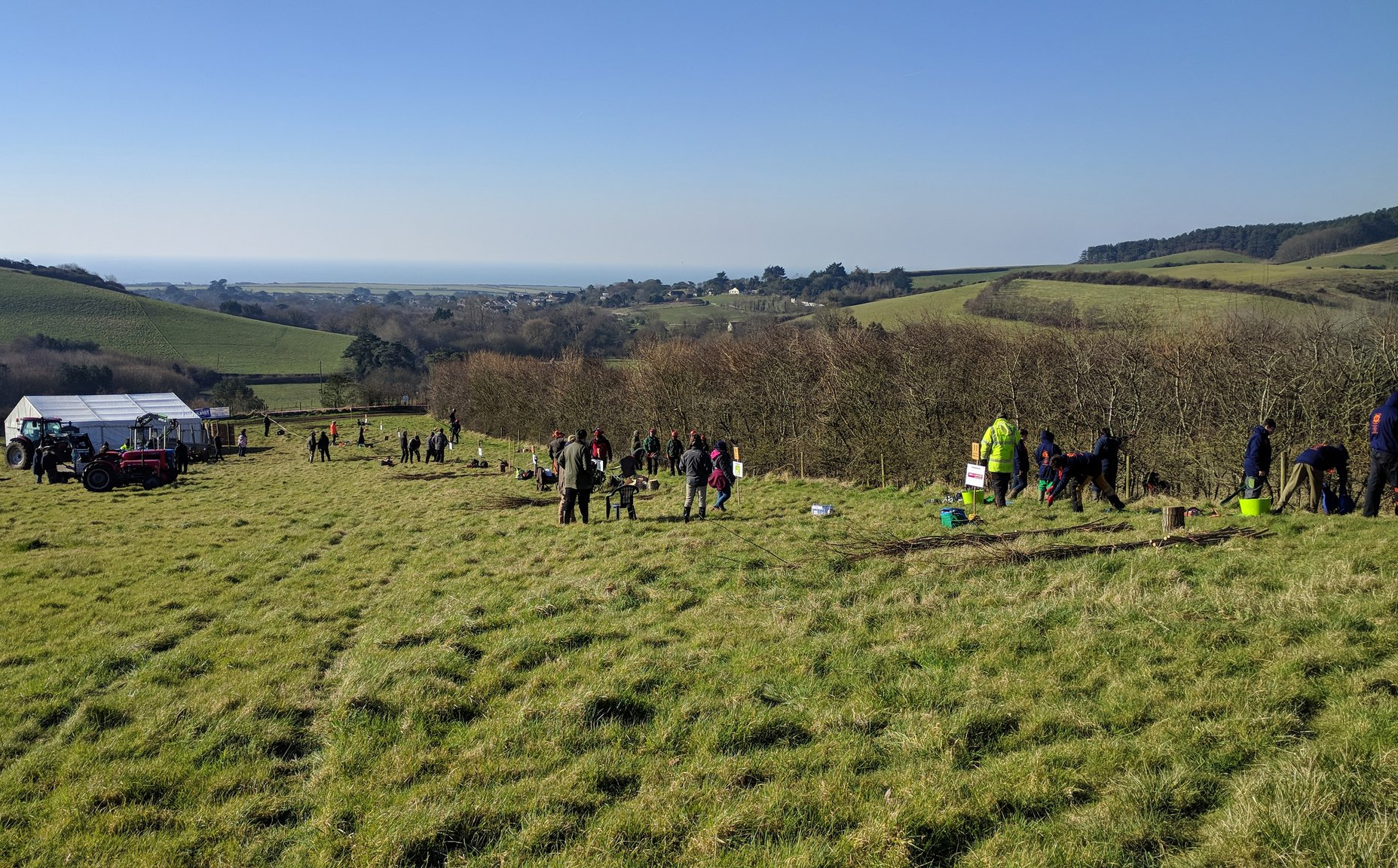 COLD DOESN’T DETER HEDGE LAYERS AT BRIGHSTONE
