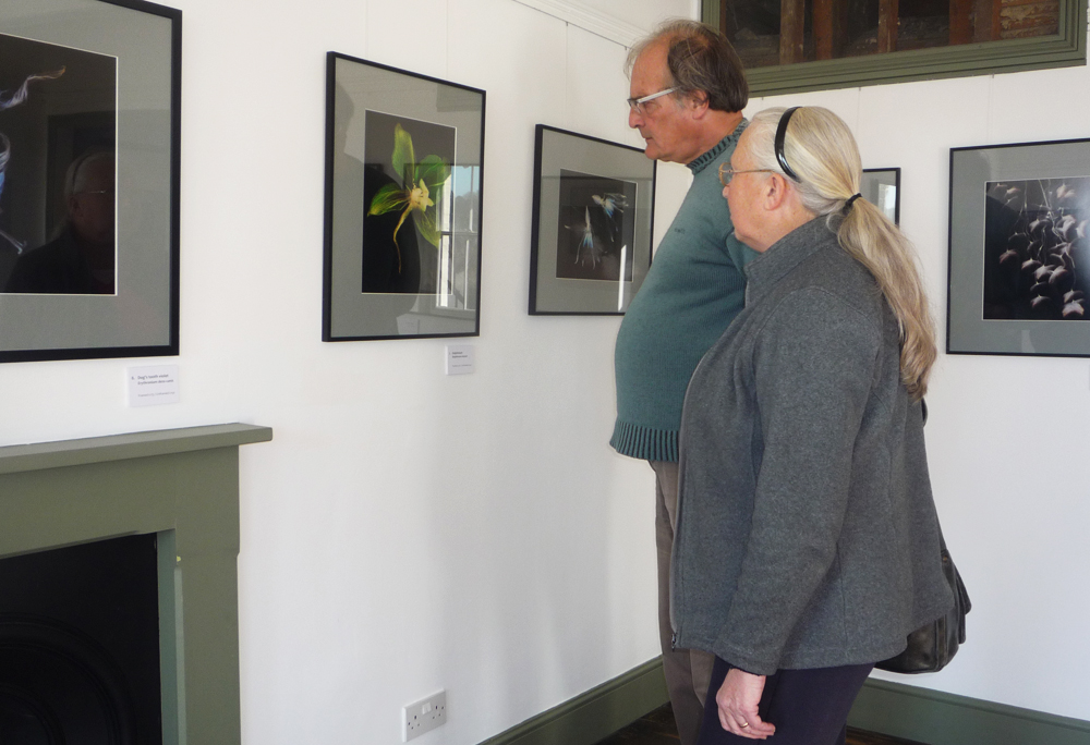 PLANTS AND PEOPLE AT DIMBOLA GALLERIES