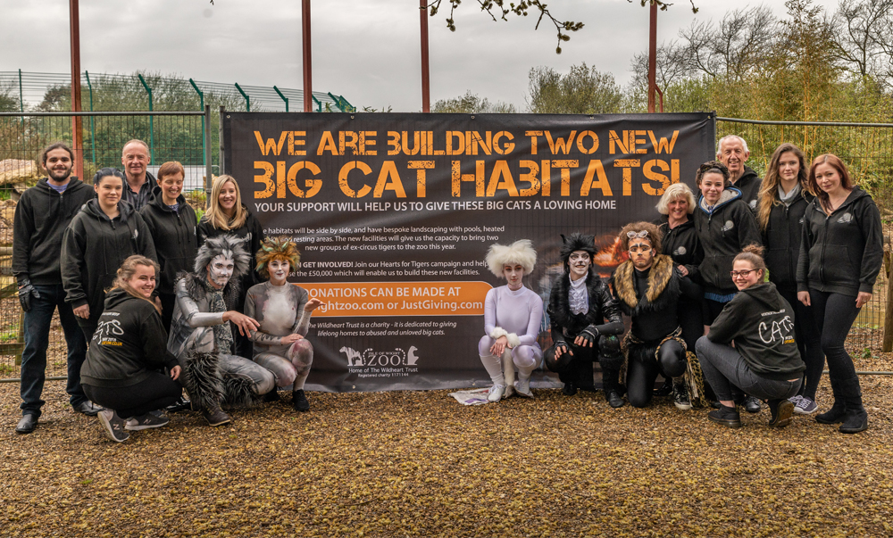 CATS THE MUSICAL SUPPORTING ZOO’S BIG CAT APPEAL