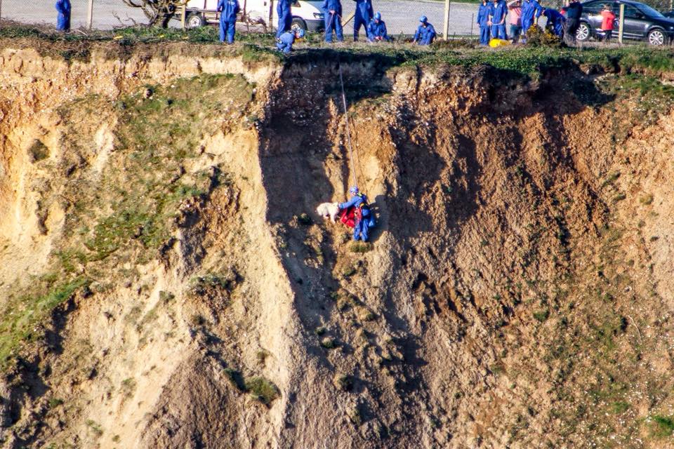 COASTGUARD CALLED AFTER DOG OWNER TRIES TO RESCUE PET
