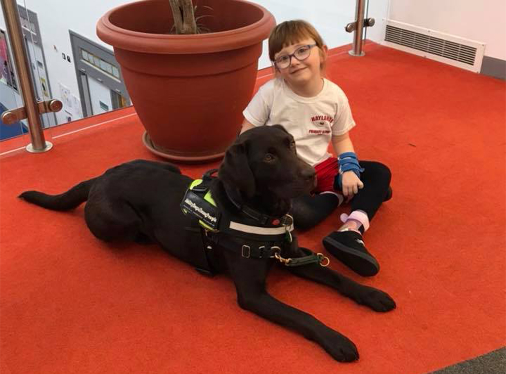 7-YEAR-OLD SOPHIE FINDS NEW PAL IN TRIXIE THE CHOCOLATE LABRADOR