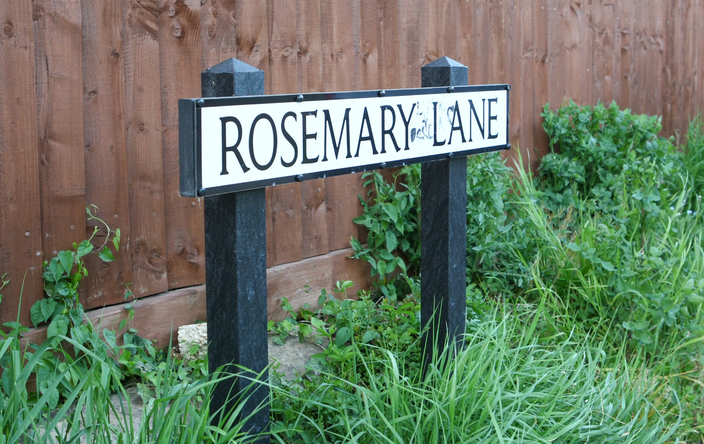 SCHOOL CHILD CATCHES MAN MASTURBATING IN WOODLAND ON WALK HOME