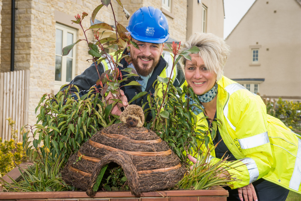 HOUSEBUILDER LAUNCHES GUIDE TO BOOST THE ISLE OF WIGHT’S HEDGEHOG POPULATION