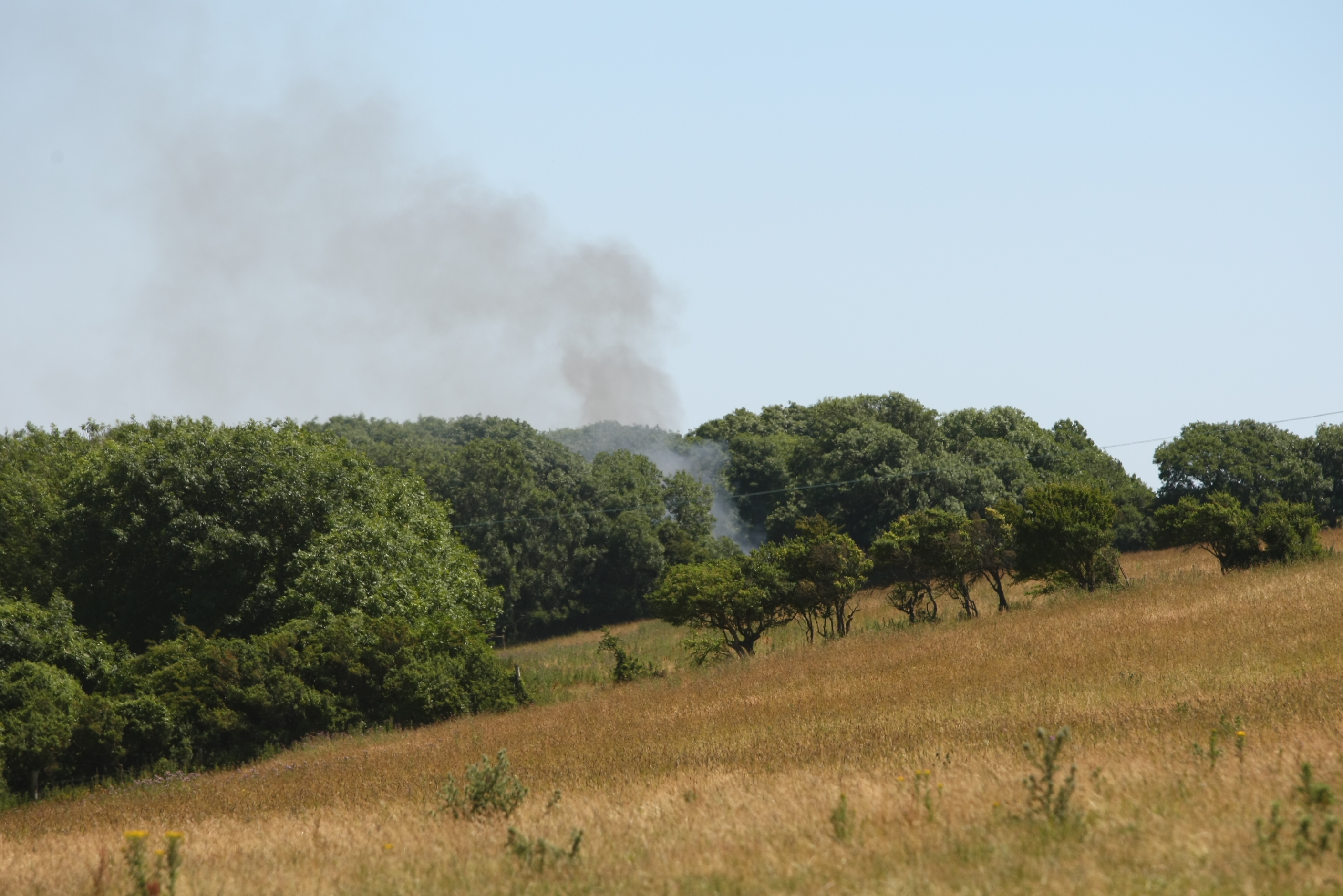 FIREFIGHTERS RESPOND TO BILLOWING SMOKE ON THE DOWNS