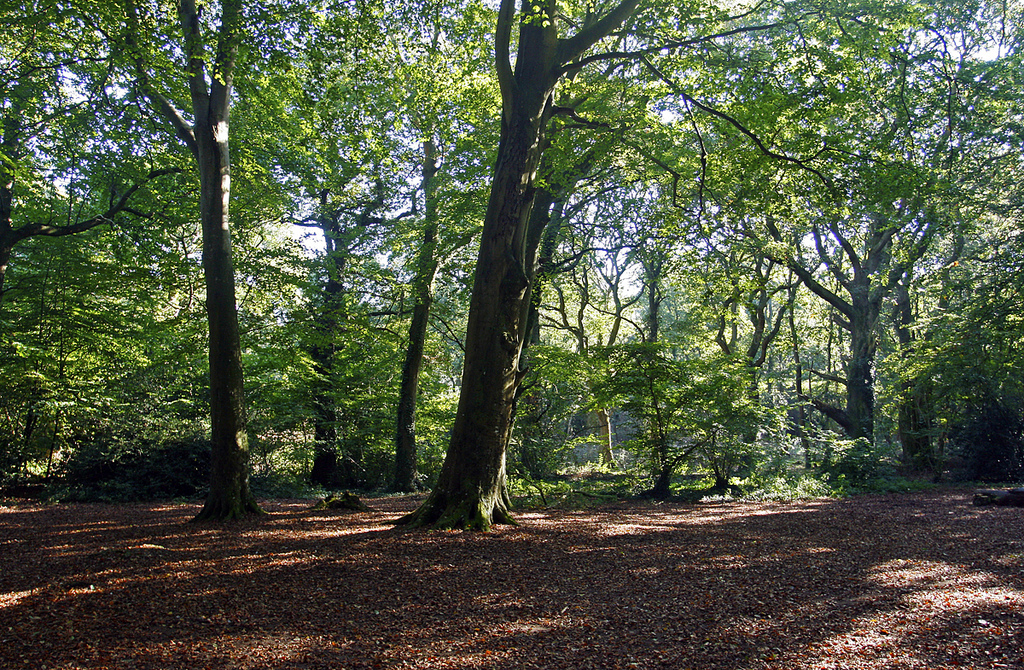 NUISANCE BIKERS AT BORTHWOOD INVESTIGATED BY POLICE