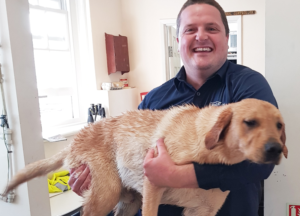 BERTIE THE LABRADOR RESCUED BY WIGHTLINK STAFF AT RYDE PIER