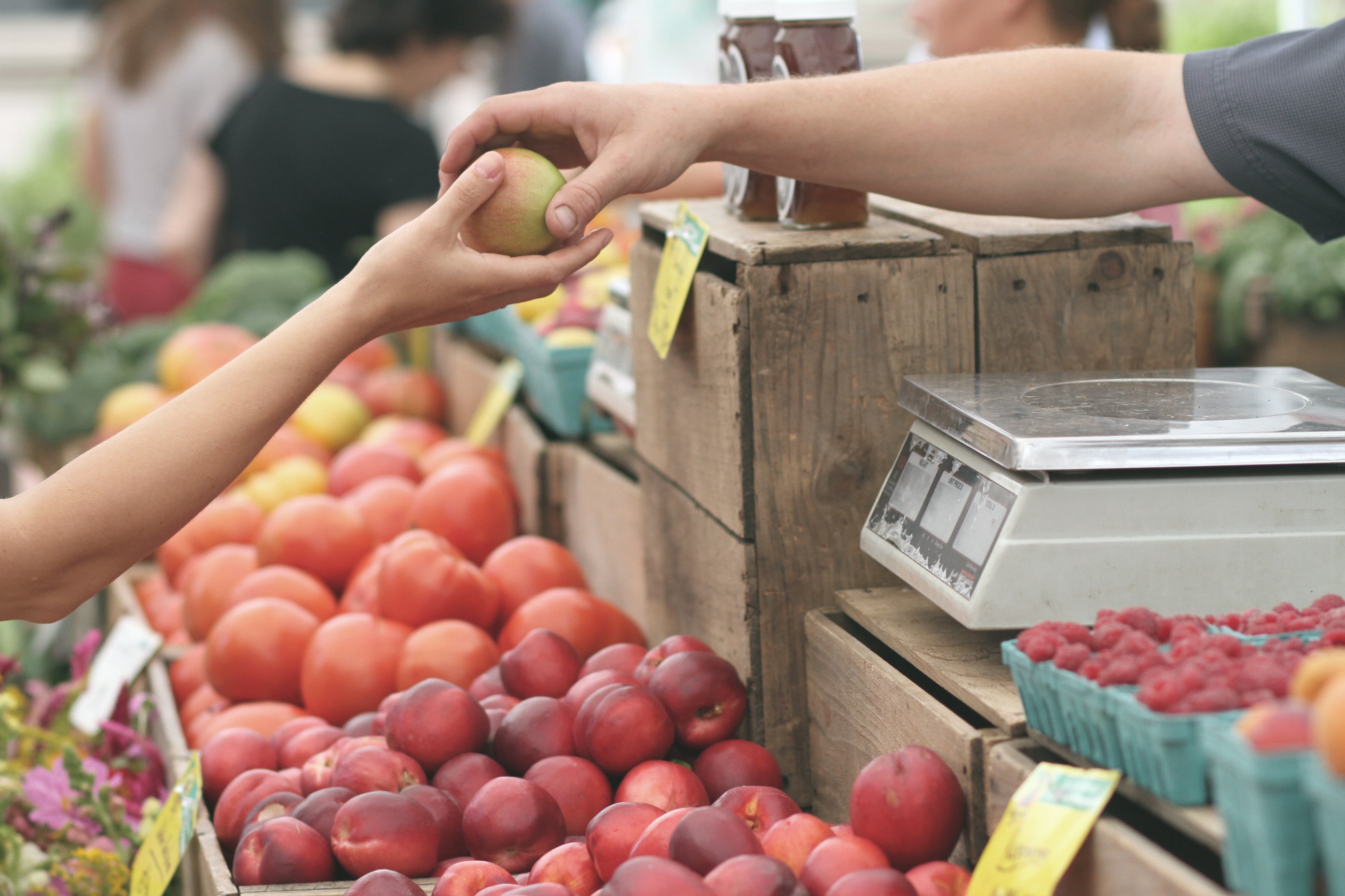 NITON VILLAGE TO HOST INAUGURAL FARMERS MARKET THIS SATURDAY