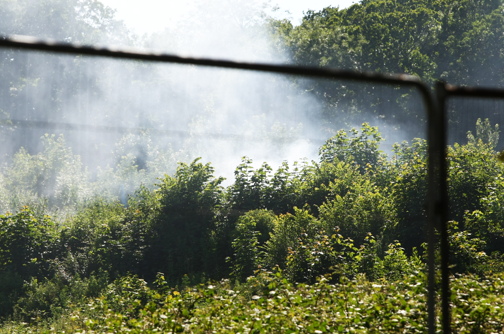 BONFIRE CALL OUTS PROMPT REMINDER FROM FIRE SERVICE