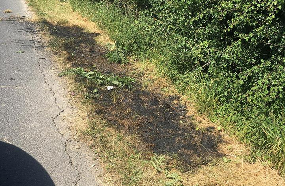 FIELD FIRE AVERTED AFTER CIGARETTE IRRESPONSIBLY DISCARDED