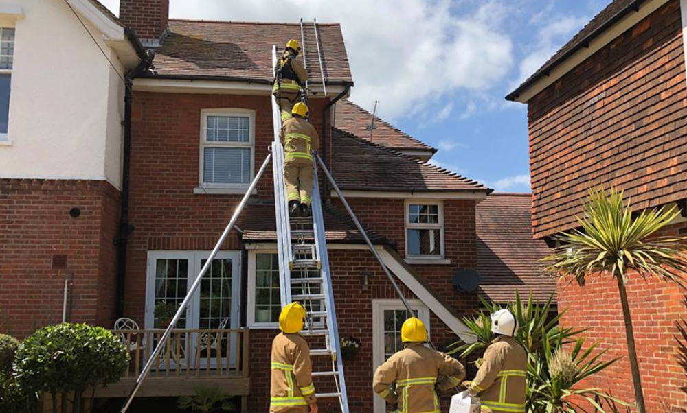 FLEDGLING HERRING GULLS RESCUED BY RSPCA AND FRESHWATER FIREFIGHTERS