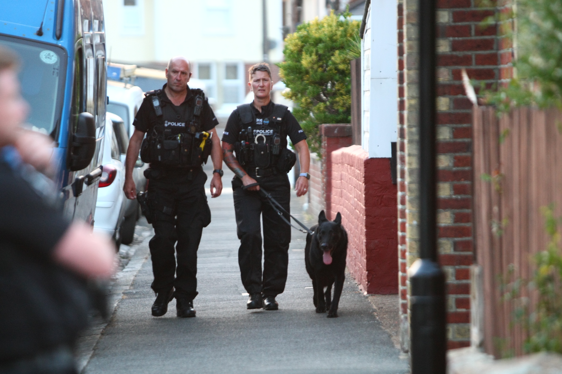POLICE HUNT ON THE GROUND AND IN THE AIR IN SANDOWN