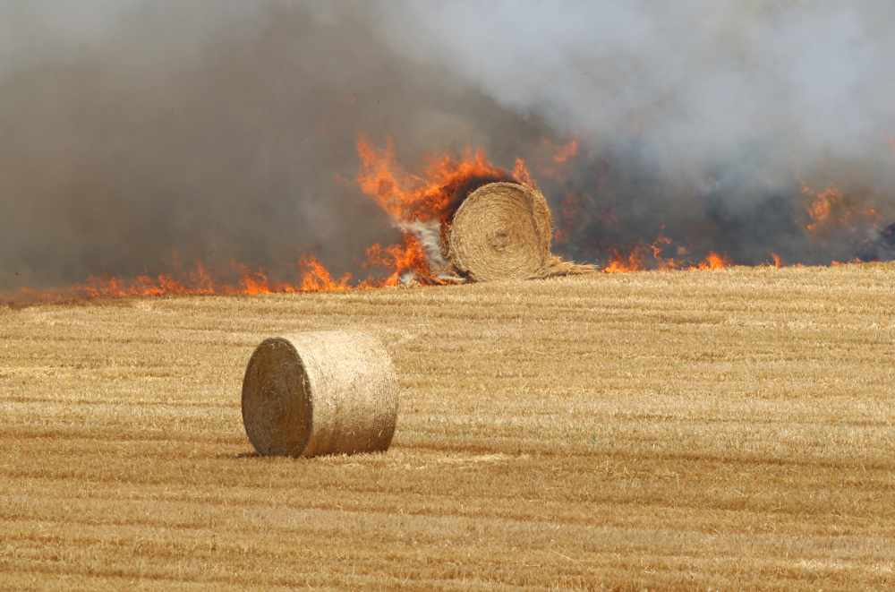 LARGE BLAZE SPREADS THROUGH WINFORD FIELD