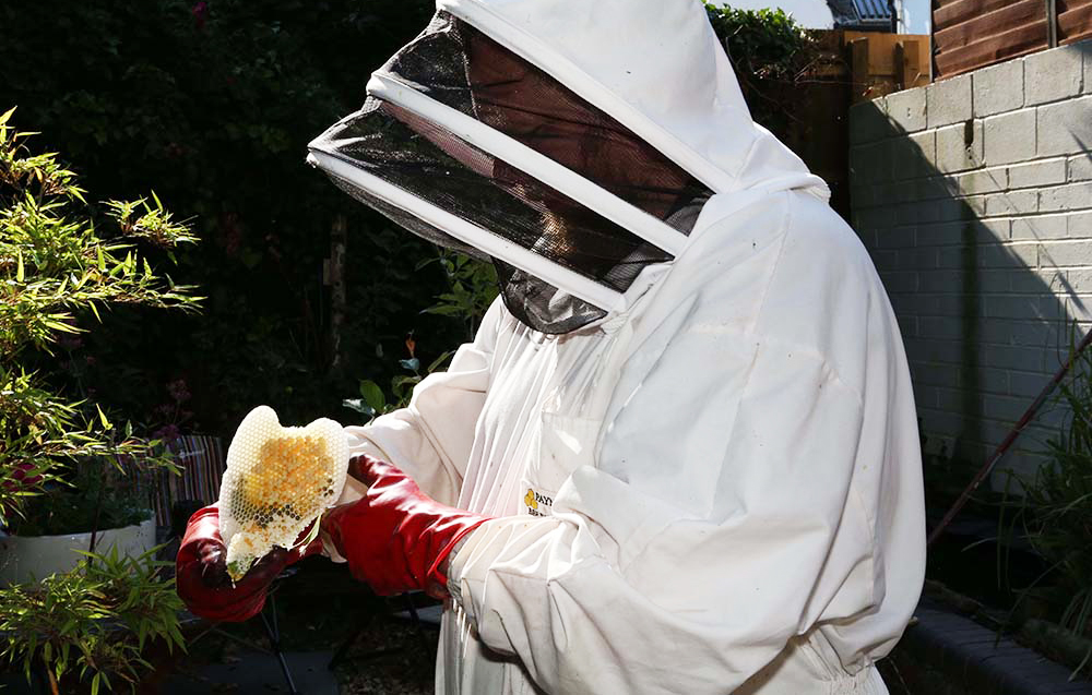WEATHER SEES A CHANGE IN BEHAVIOUR ‘BEE-SIDE’ THE SEASIDE