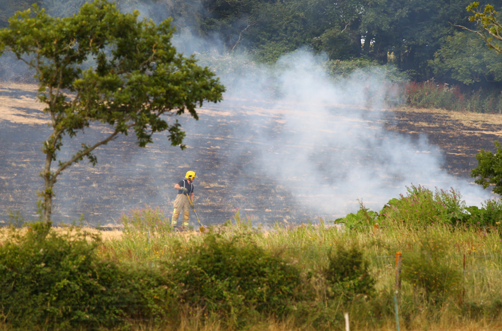FIELD BESIDE RAILWAY LINE IN ASHEY CATCHES FIRE