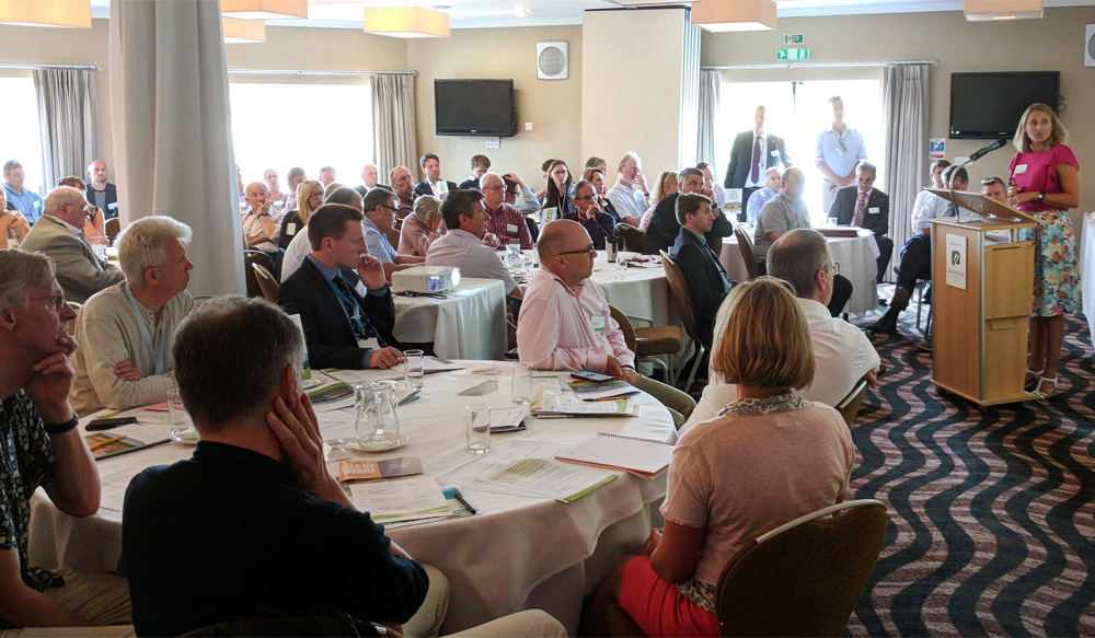 ISLE OF WIGHT REGENERATION CONSULTATION IS ON