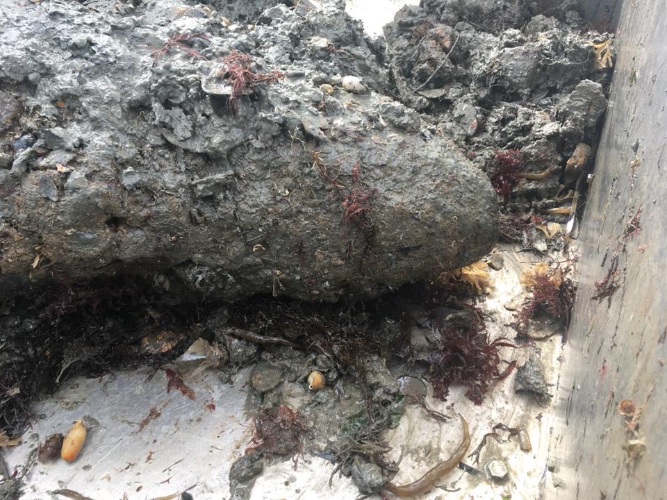 BOMB DISPOSAL CALLED TO UNEXPLODED WW2 BOMB