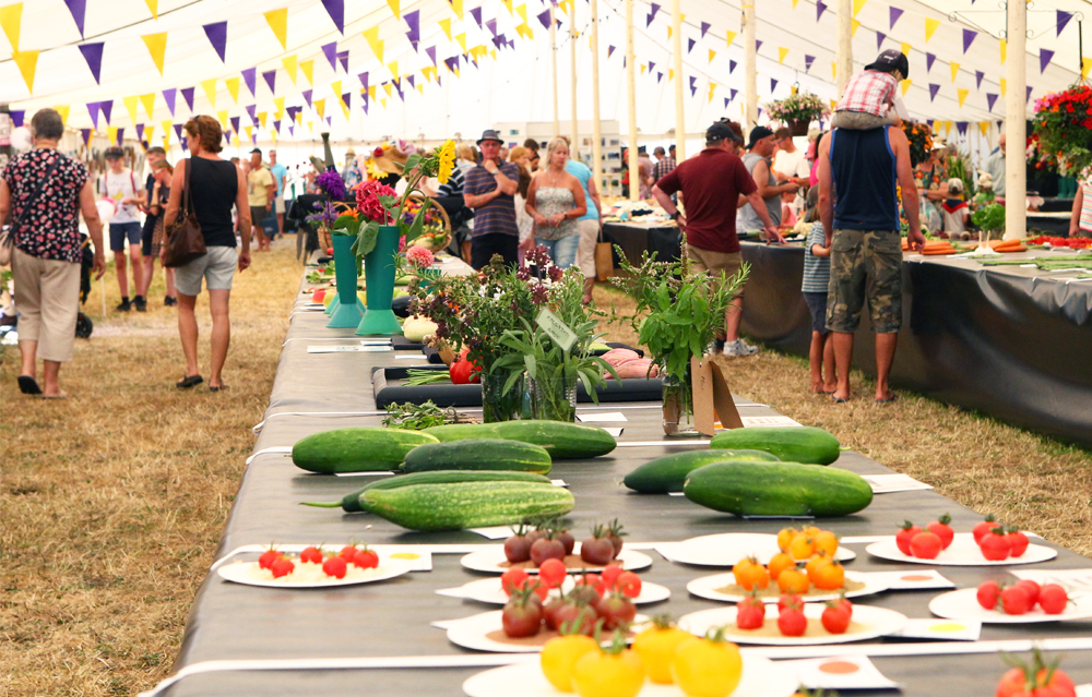 92ND CHALE SHOW A SUMMER SUNSHINE SUCCESS