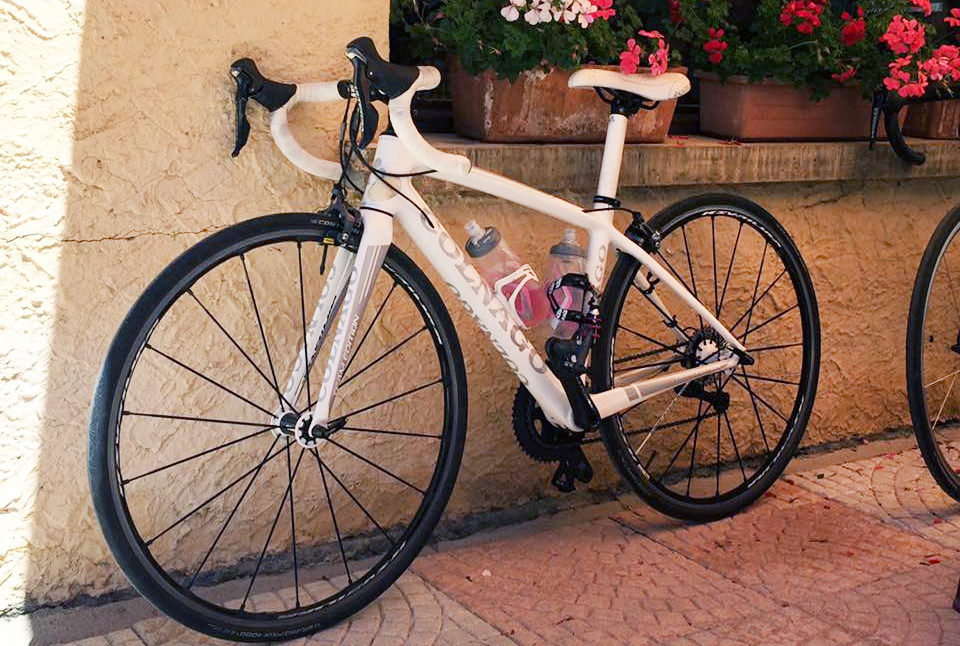 HOLIDAYMAKER’S ROAD RACING BIKES STOLEN FROM APPULDURCOMBE
