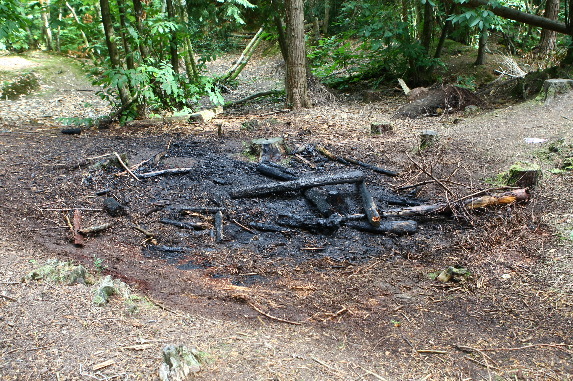 SMALL FIRE TACKLED AT PARKHURST FOREST