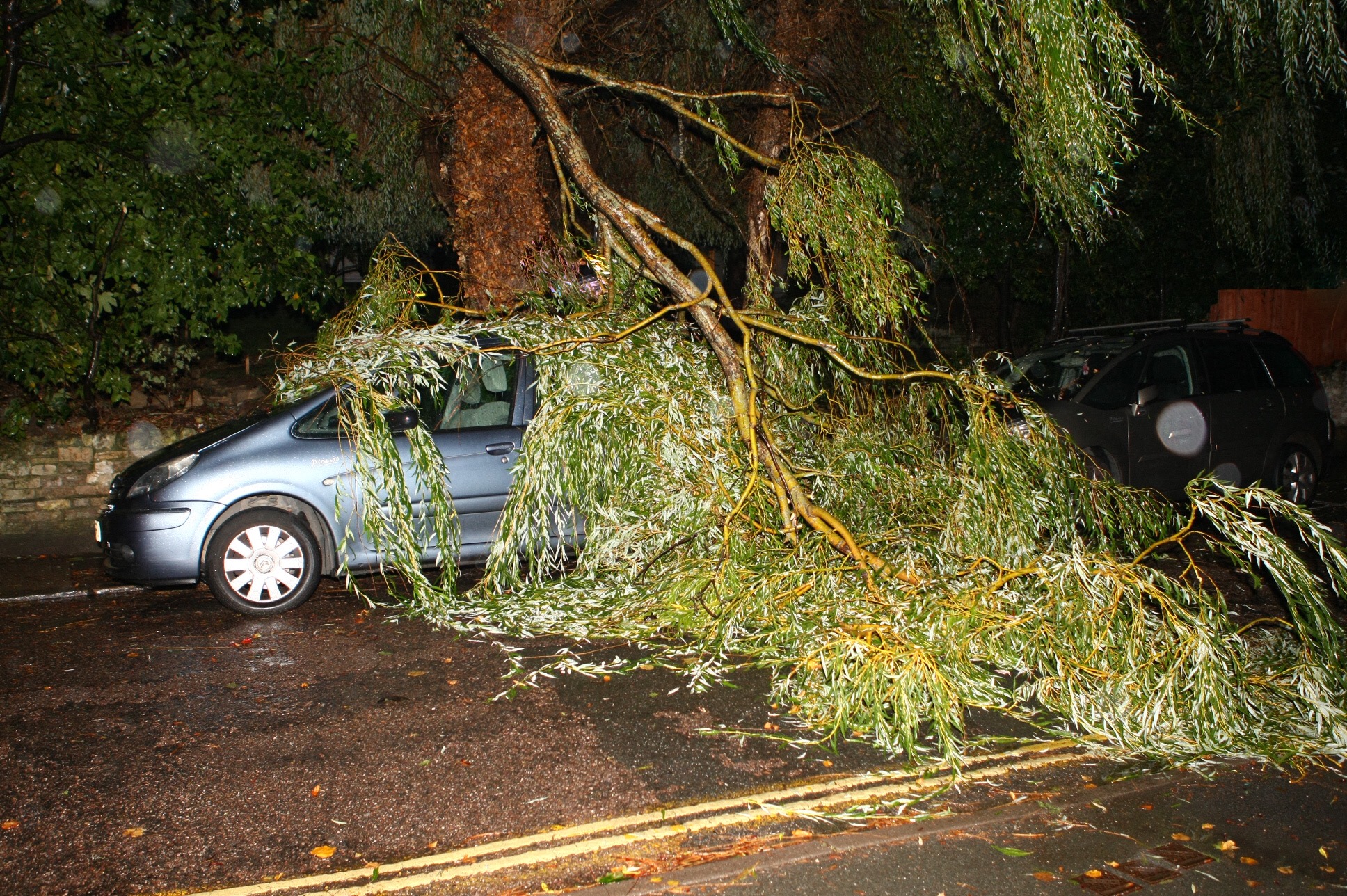 TREE BRANCH LANDS ON CAR AND BLOCKS ROAD IN RYDE