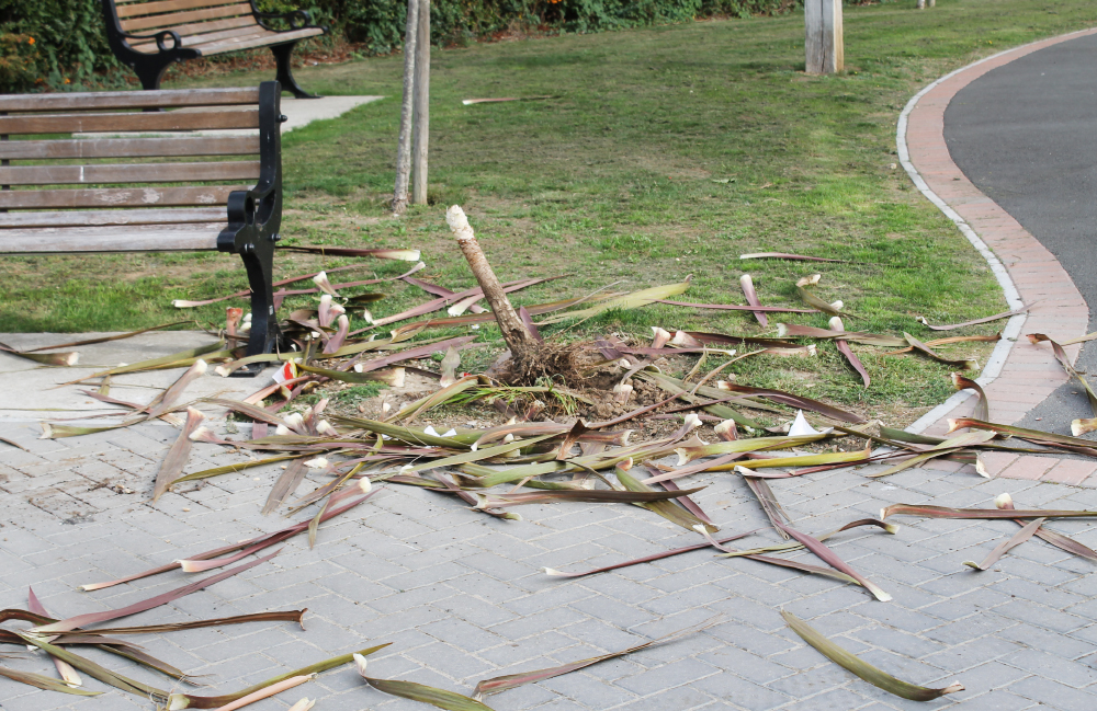 MEMORIAL GARDEN IN RYDE HIT BY MINDLESS VANDALISM