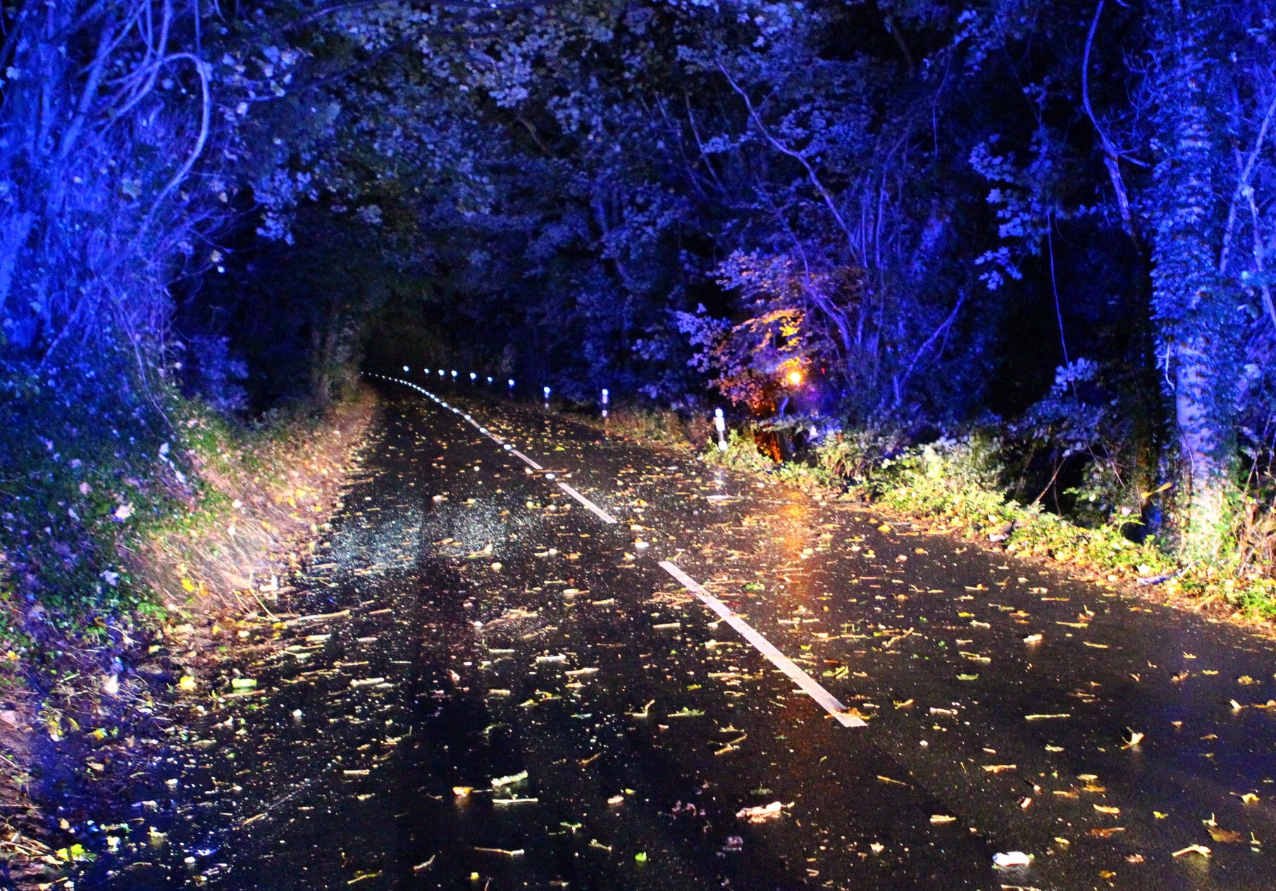CAR CRASHES INTO TREES ON MIDDLE ROAD