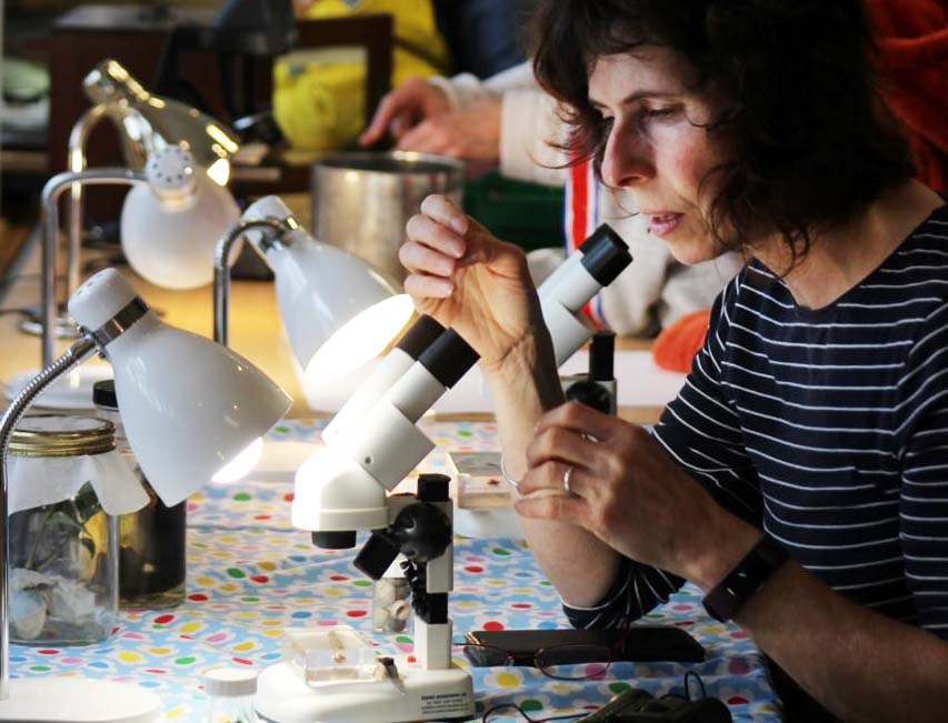 THE BAY’S MICROSCOPIC TRULY SUPERSIZED DURING NATIONAL BIOLOGY WEEK EVENT