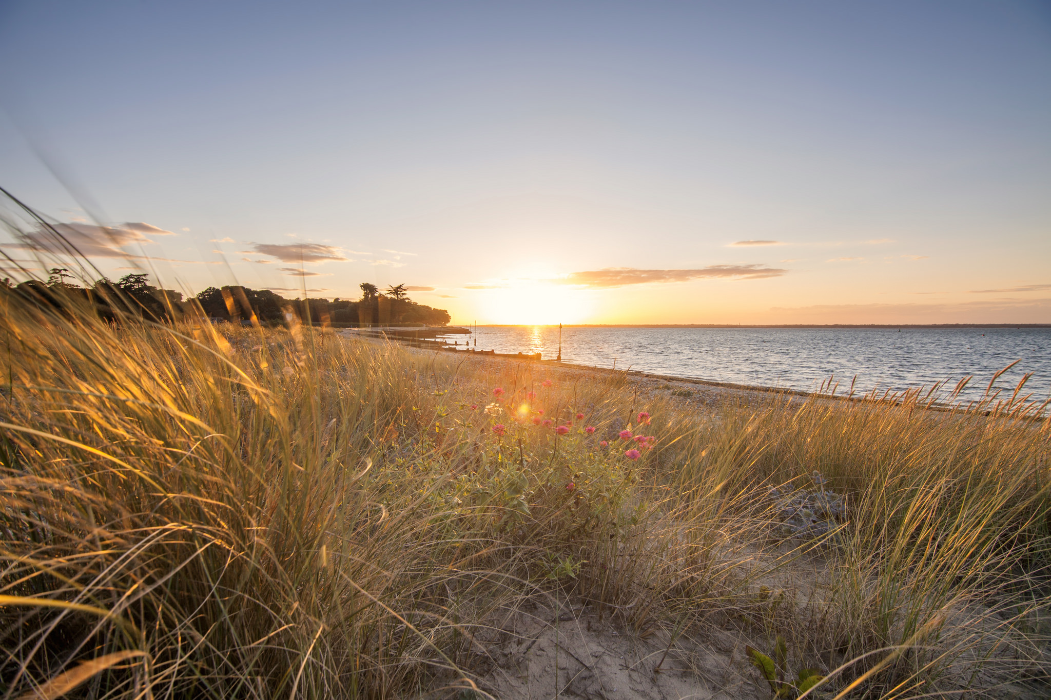 VISIT ISLE OF WIGHT SEARCHES FOR NEW CHAIRPERSON