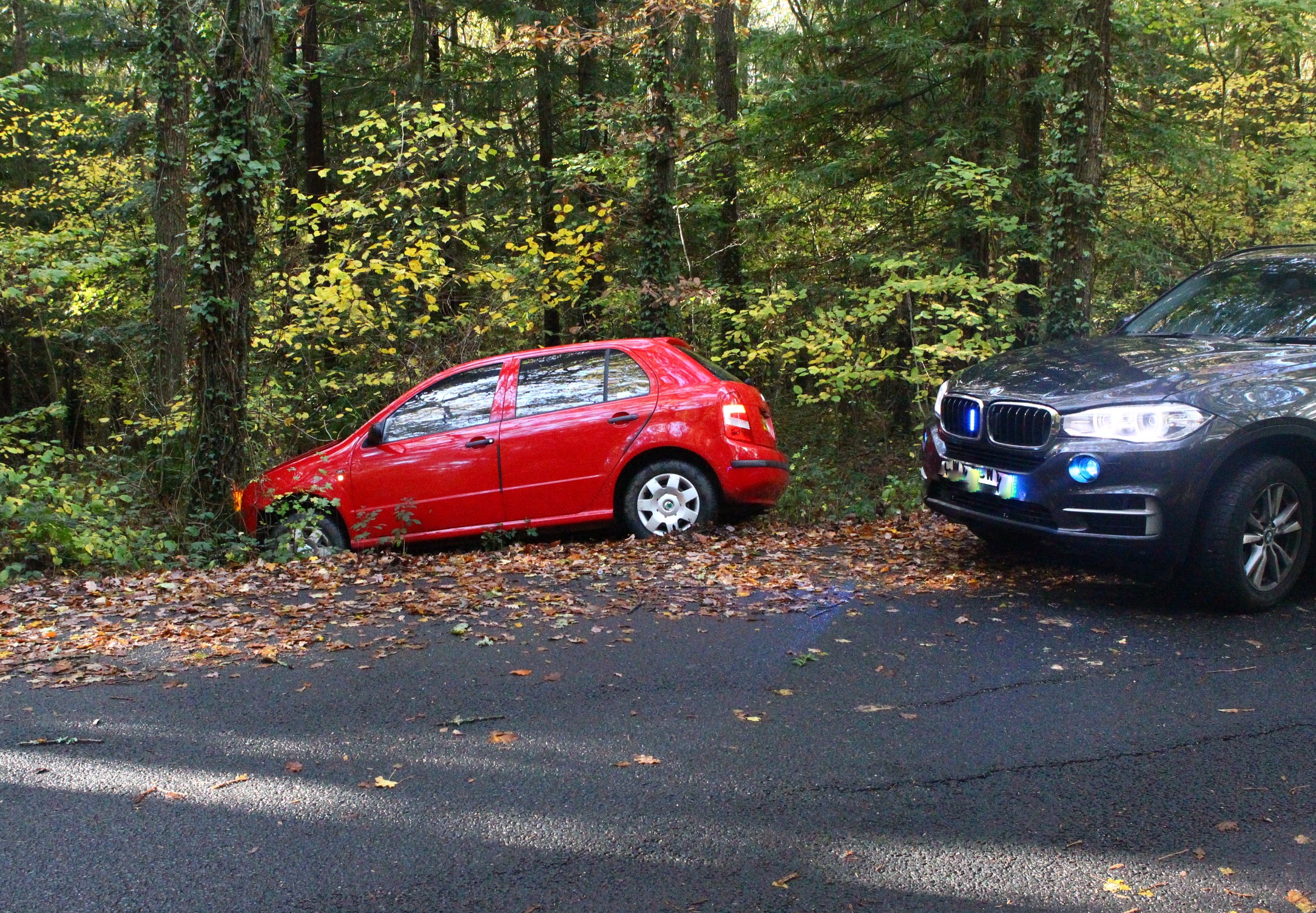 CAR CRASHES INTO TREES IN SLIPPY CONDITIONS