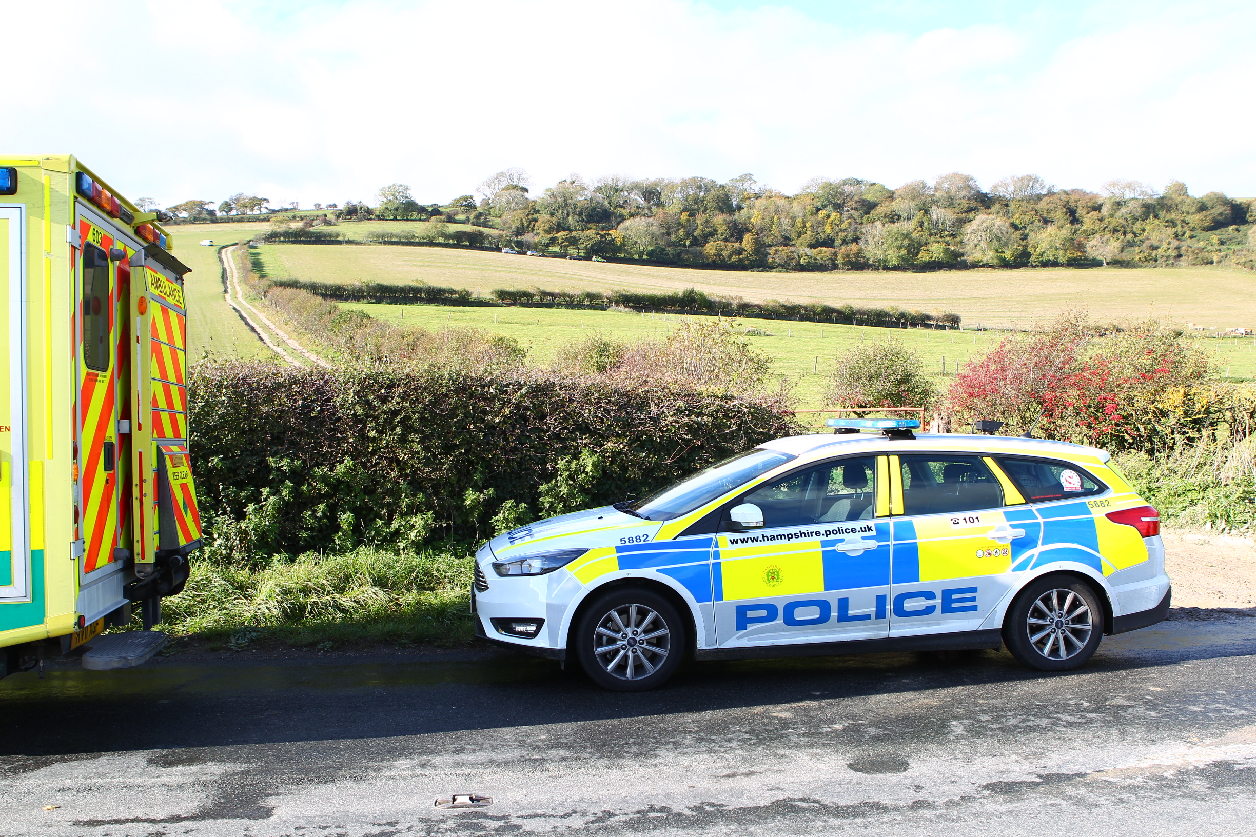 BODY FOUND IN WOODLAND AT BOWCOMBE