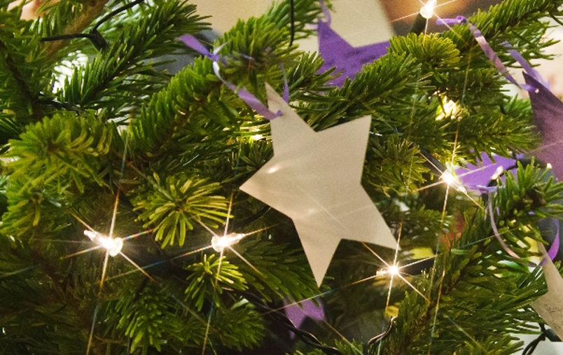 DEDICATE A CHRISTMAS STAR TO A LOVED ONE WITH SOUTHERN CO-OP FUNERALCARE