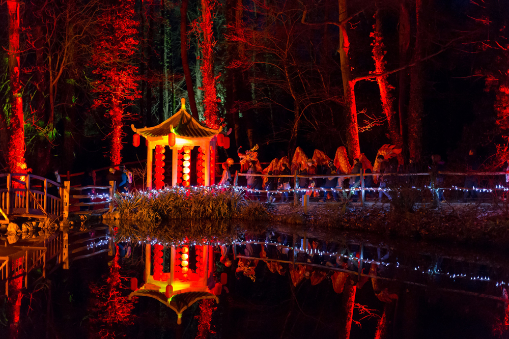 ROBIN HILL’S ELECTRIC WOODS EVENT SCOOPS REGIONAL AND NATIONAL AWARDS