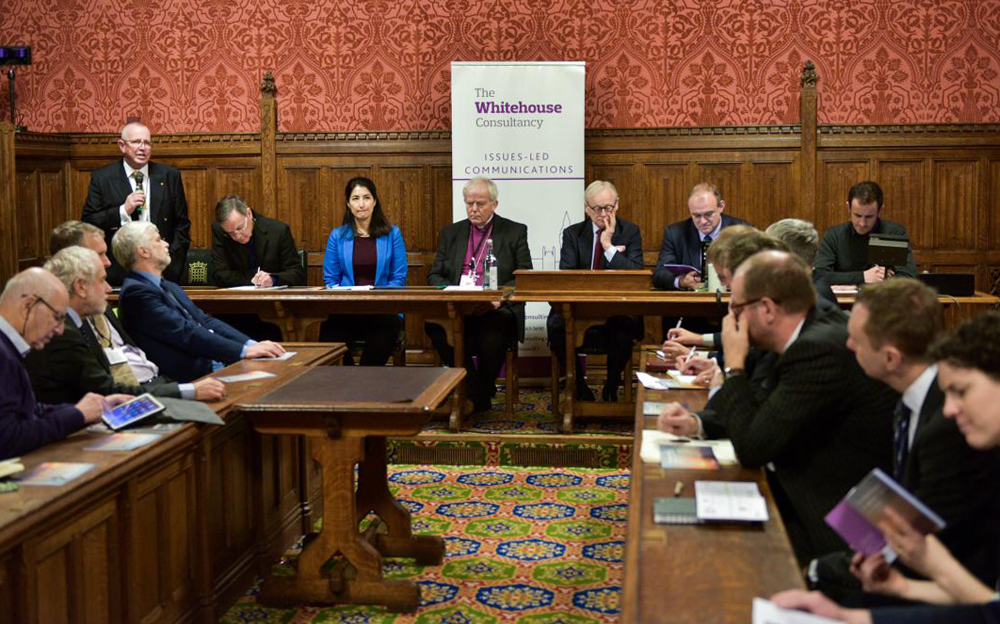 ISLE OF WIGHT COUNCILLOR TAKES CLIMATE CHANGE CAMPAIGN TO PARLIAMENT