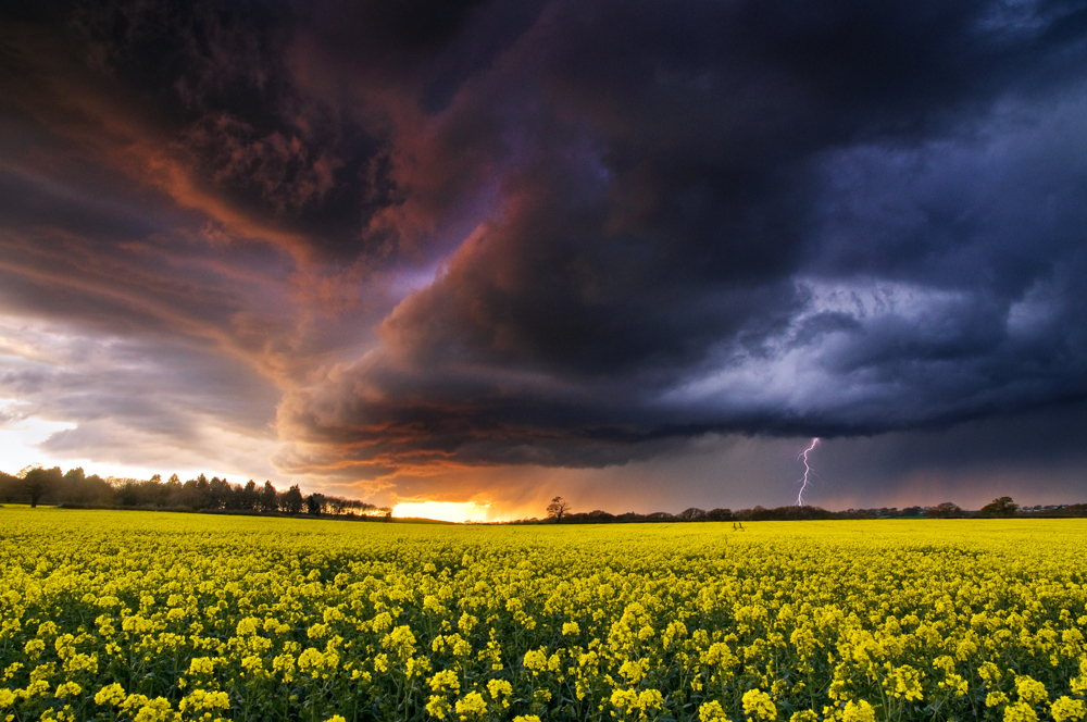 PARTNERSHIP TO DELIVER FASTER AND MORE ACCURATE ISLE OF WIGHT WEATHER REPORTS