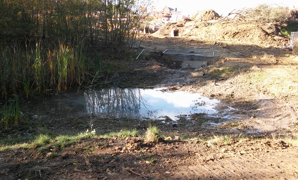COUNCILLOR RAISES COUNTRYSIDE DESTRUCTION AT PAN WITH SENIOR COUNCIL OFFICERS