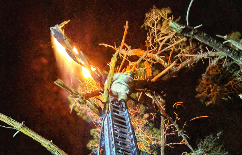 FIREFIGHTERS TACKLE TREE FIRE IN BRIGHSTONE