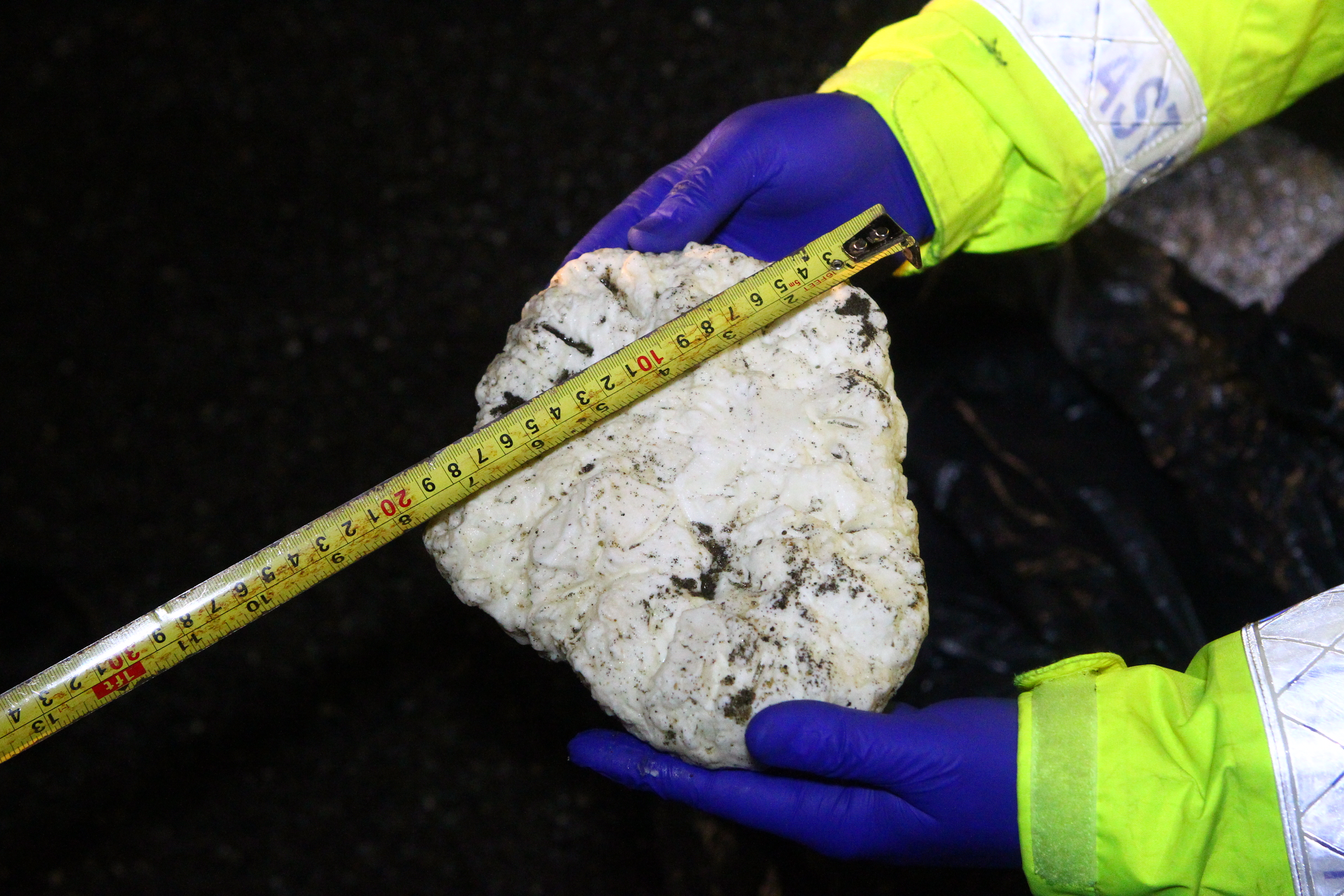 WARNING AS PALM OIL WASHES ASHORE AT SANDOWN