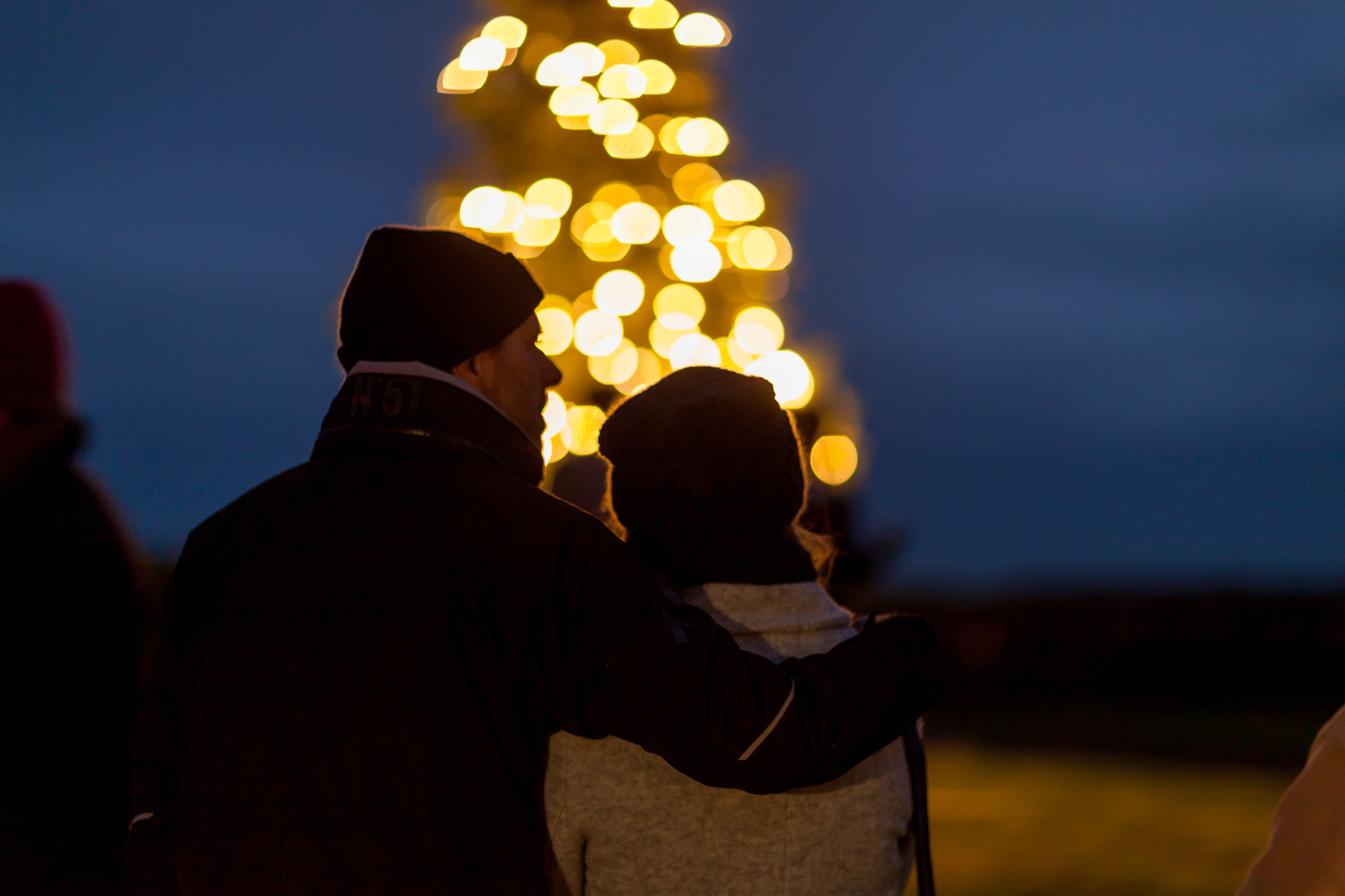CHRISTMAS GARDEN RETURNS TO SANDOWN BATTERY ON SUNDAY