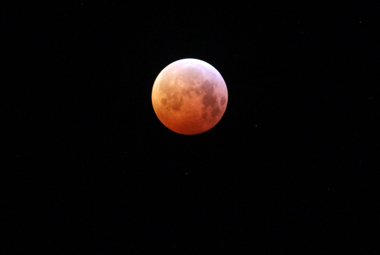 EARLY RISERS CATCH SIGHT OF SUPER BLOOD WOLF MOON
